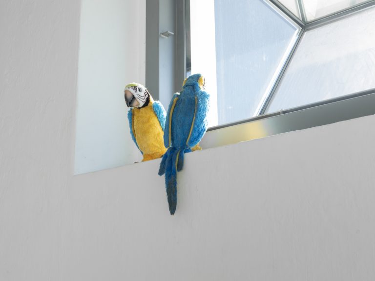 Forde Everything has been done 2