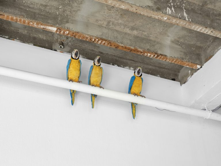 Forde Everything has been done 2