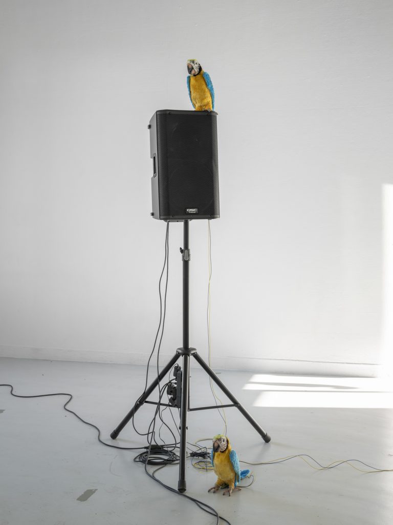 Forde Everything has been done 2