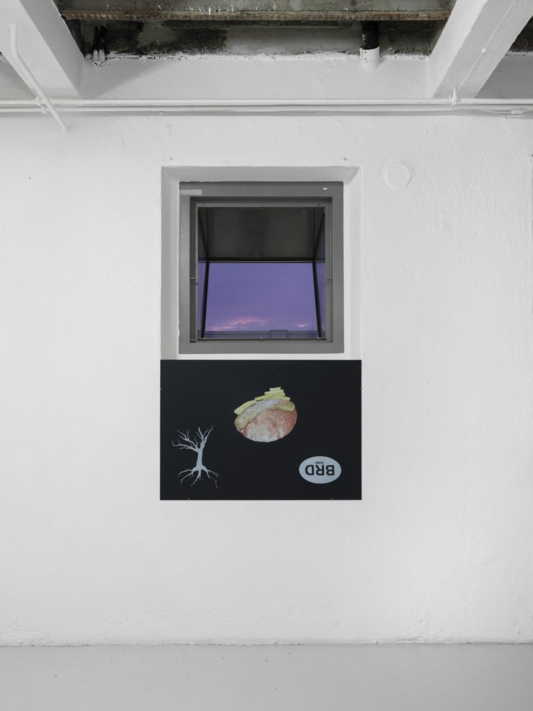 Forde Mensengesäß, 1996