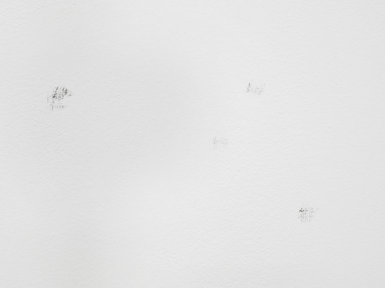 Forde Collaborate or collapse